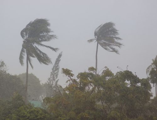 The Edge of Extremes: What Kona Storms and Wildfires Tell Us About Hawaii’s Future