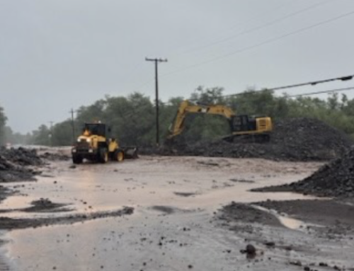 The Crisis of the Short Term: Why Recovery Must Not Sideline Resilience